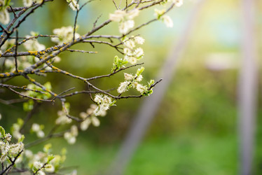 Similar image 21545444