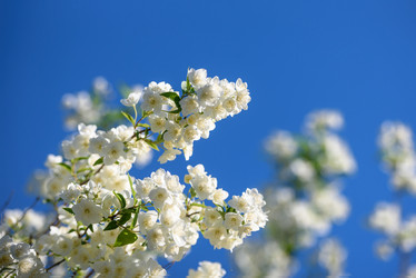 Similar image 21541026