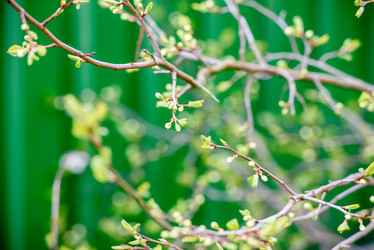 Similar image 21541027