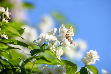 Similar image 21545448