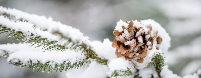 Similar image 21541030