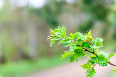 Similar image 21545450