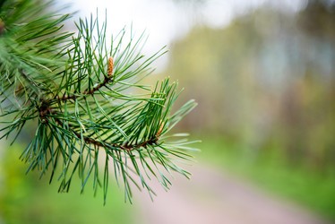 Similar image 21541449