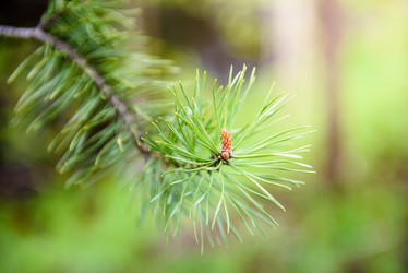 Similar image 21545455