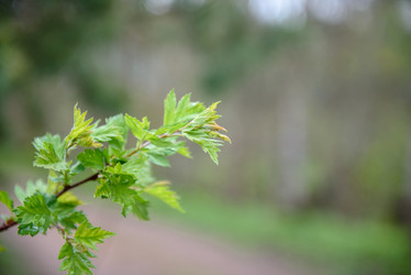 Similar image 21545725