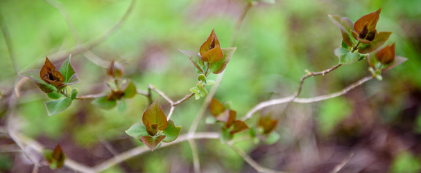 Similar image 21541450