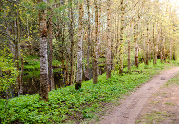 Similar image 21541453