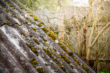 Similar image 21541454