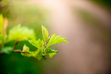 Similar image 21541455