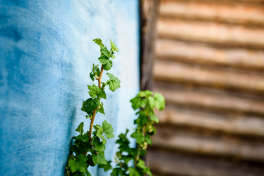 Similar image 21541456