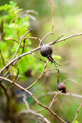 Similar image 21541457