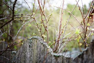 Similar image 21541458