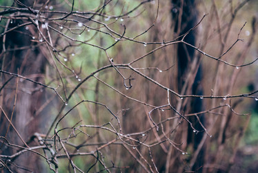 Similar image 21541459