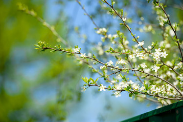 Similar image 21541460