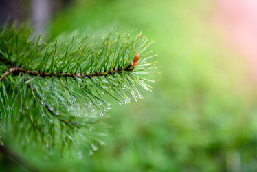 Similar image 21541462