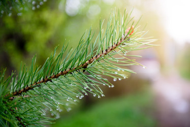 Similar image 21541463