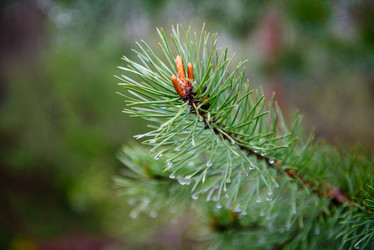 Similar image 21541465