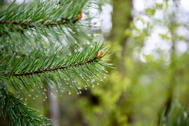 Similar image 21541466