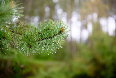 Similar image 21541468