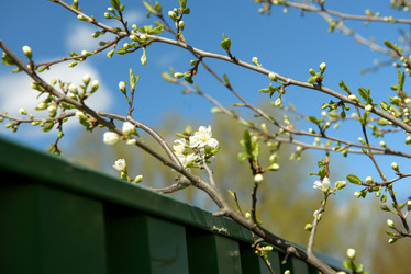 Similar image 21541469