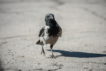 Similar image 21541476