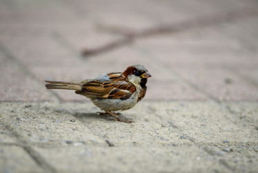 Similar image 21541774