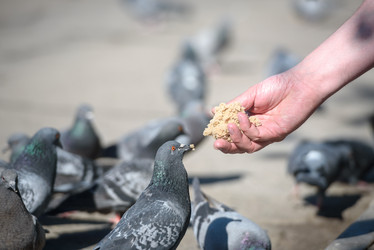 Similar image 21541775