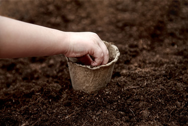 Similar image 21541778