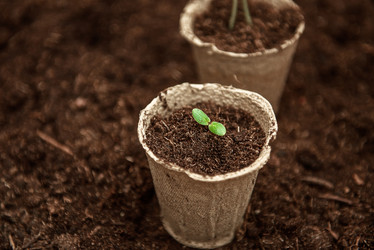 Similar image 21542141