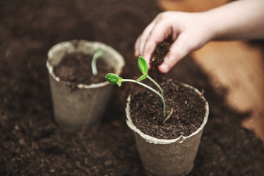 Similar image 21542144