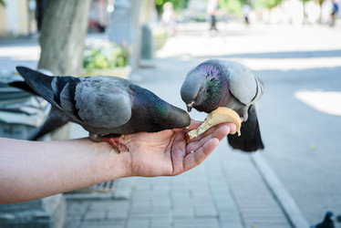 Similar image 21542145