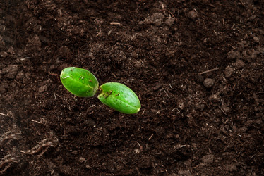 Similar image 21542146