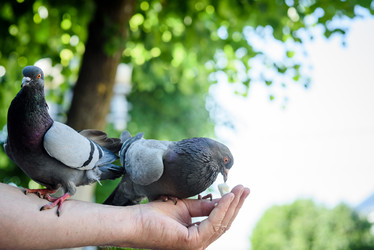 Similar image 21546474