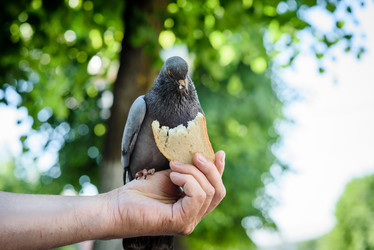 Similar image 21542148