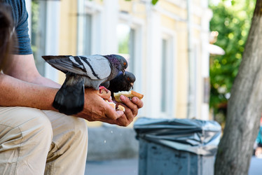 Similar image 21546477