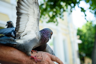 Similar image 21546480