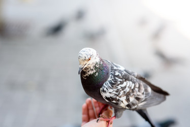 Similar image 21546481