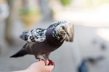 Similar image 21546482