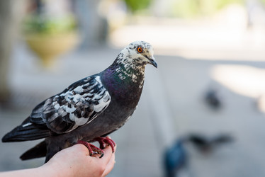 Similar image 21546483