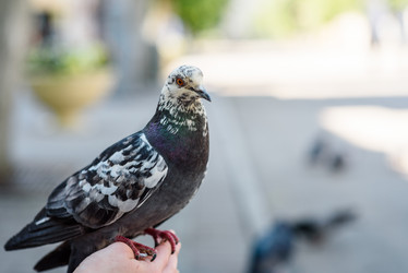 Similar image 21546484