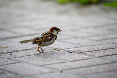 Similar image 21546488