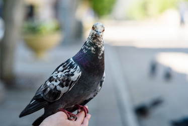 Similar image 21546489