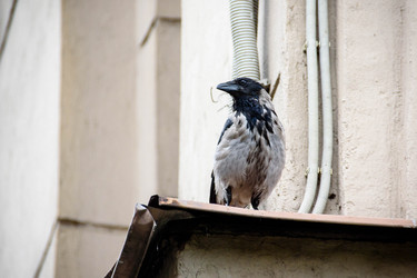 Similar image 21546491