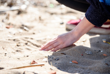 Similar image 21547105