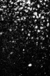 Similar image 21541503