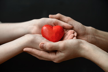 Similar image 21541786