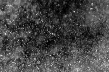 Similar image 21541789