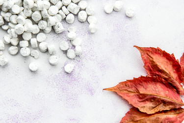 Similar image 21541614