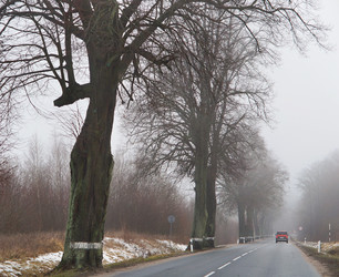 Similar image 21547354