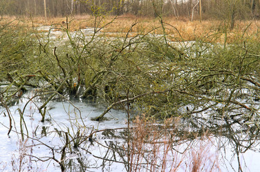 Similar image 21547358